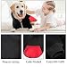meioro Hunde Kapuzenpullis Warm Hundebekleidung Reißverschluss Hundekleidung Nette Haustier Hoodies (XL, Schwarz)