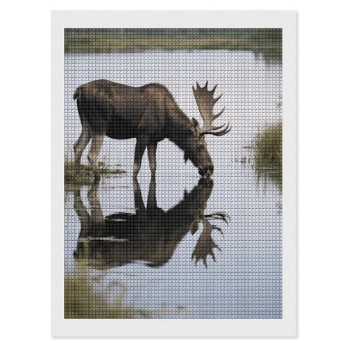 Kit de peinture diamant 5D maccbn pour adultes avec outils de perçage complets 30x40 cm