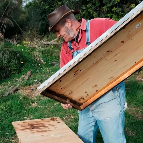 『Gori Lladó, la apicultura ecológica en la isla』のカバーアート