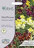 Mr Fothergill's - RHS WallFlower Persian Carpet