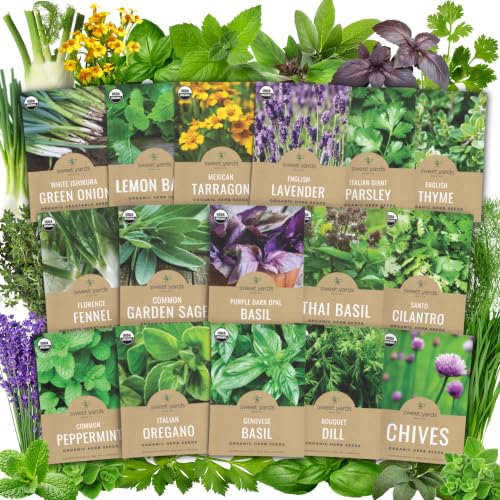 Organic Herb Seeds Variety Pack - 16 Individual Packs - 2026 Season - Basil, Cilantro, Dill, Thyme...