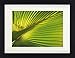 Produktbild 1art1 Palmen Poster Hanf-Palmenblatt Gerahmtes Bild Mit Edlem Passepartout | Wand-Bilder | Im Bilderrahmen 40x30 cm