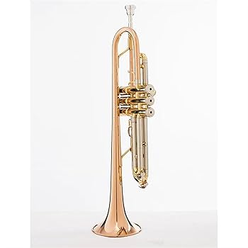 【専用】笑椛さま/トランペット 専用】笑椛さま/トランペット Amazon.co.jp: トランペット