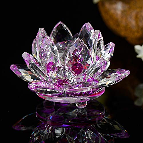 @̉ NX^ u KXCeA  ^ J^     K^ d  O @ @v  ~  8CM (p[v)