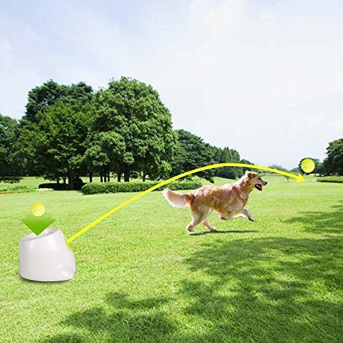Lanceur de balles automatique petit format machine tennis interactive chien