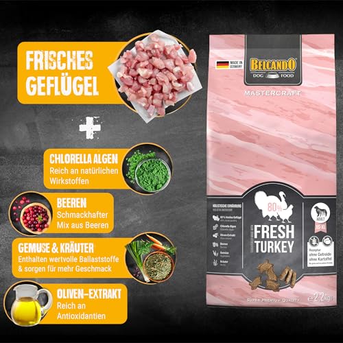 BELCANDO MASTERCRAFT Hundefutter trocken Fresh Turkey, 2,2kg, Trockenfutter für Hunde mit Truthahn, 80% Frischfleisch, getreidefrei, für alle Rassen, Made in Germany