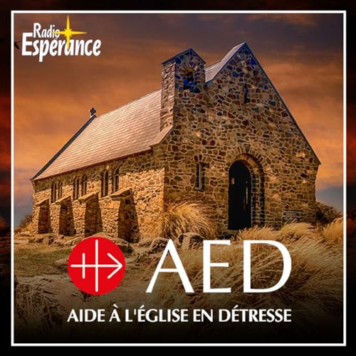 L&rsquo;&Eacute;glise en d&eacute;tresse cover art
