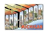 Greetings from Ann Arbor Michigan Fridge Magnet