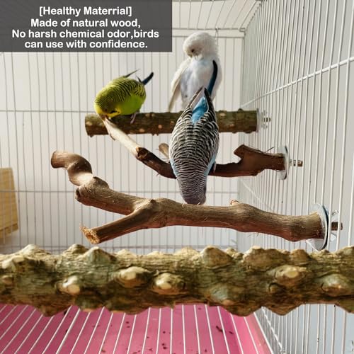 Image of 5PCS Parrot Perch Stand Natural Wooden Bird Stand Branch 3 Grape Wood Perch 2 Stand Paw Grinding Fork Parakeet Chewing Stick Exercise Training Branches for Small Birds Cockatiels