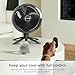 Shark FlexBreeze - Indoor & Outdoor Fan, Corded and Cordless, 2-in-1 Oscillating Pedestal and Tabletop, Up to 24-Hr Battery, FA202