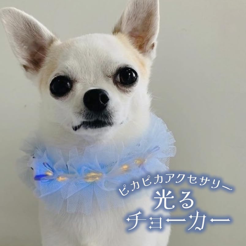 犬服・アクセサリー yang Amazon | [オメカシペット] 犬 光る 首飾り 散歩 フリル 夜 夏 花 衣装