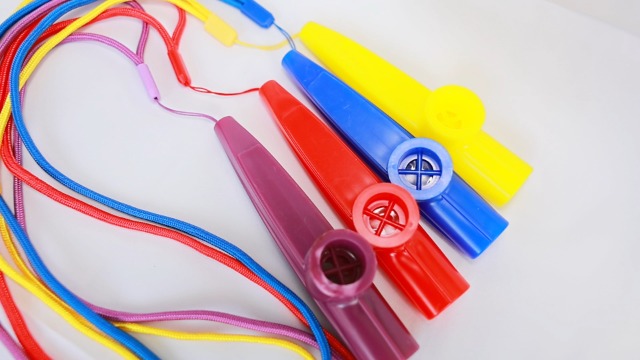 Amazon.com: Fartime 6Pcs Plastic Kazoos With Lanyards,Musical