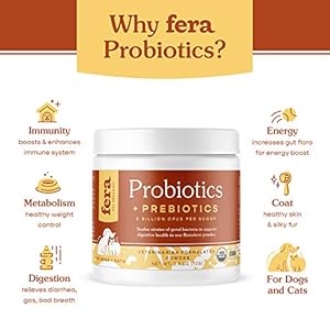 Fera Pets Organic Probiotics for Dogs & Cats – Vet Created – Cat & Dog Probiotic Supplement – 12 Strains & Prebiotics for Pet’s Digestion – 60 Scoops​