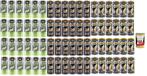 Lemonsoda Oransoda Mojitosoda Testpaket 100% italienisch trinken refreshing soft drink 72x 33cl + Italian Gourmet polpa 400g