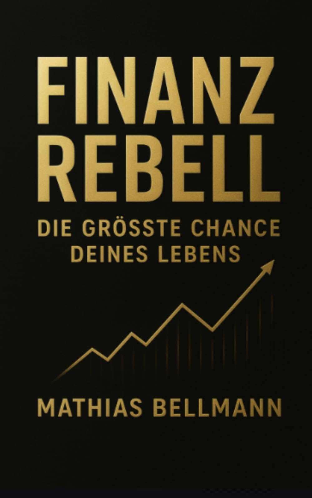 Finanzrebell: Die größte Chance deines Lebens