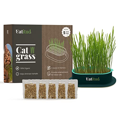 Cat Grass Seeds The 15 best products compared Wild Explained