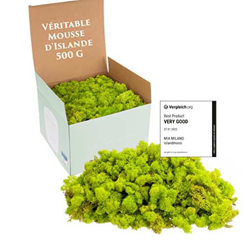 Mia Milano Mousse Naturelle décorative, pour Les crèche et Le Bricolage, en Plaque, réutilisable (Vert Clair, 500g)