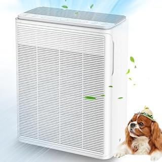 AIUZLK Air Purifier for Home Large Rooms Up to 2000 Ft²,3-in-1 H13 HEPA for Pet Dander,Hair and Smoke,22dB Ultra-Quiet Operation for Bedroom,Living room,office (White)