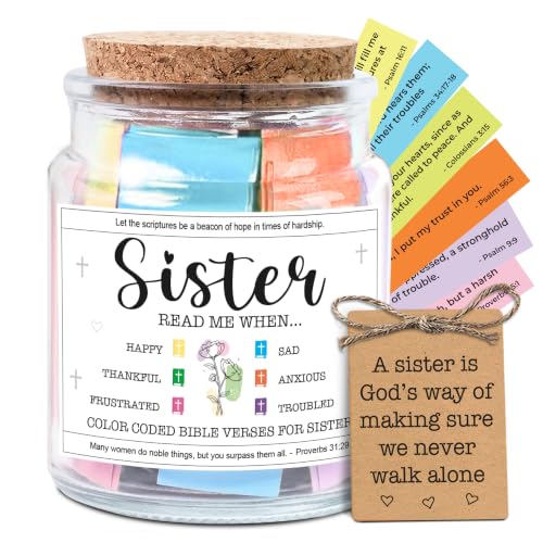 NewEleven Birthday Gift For Sister, Sisters In Law, Soul Sis - Sisters Gifts From Sister, Brother, Friend, Family - Bible Verse Jar