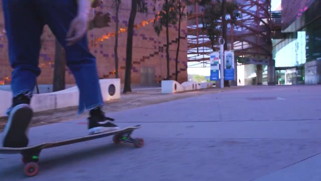 Amazon.com : Loaded Boards Coyote Longboard Skateboard Complete