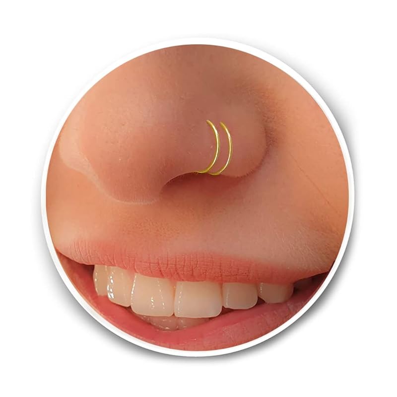 Tiny Gold Double Hoop Nose Ring Spiral Nose Ring 20 Gauge