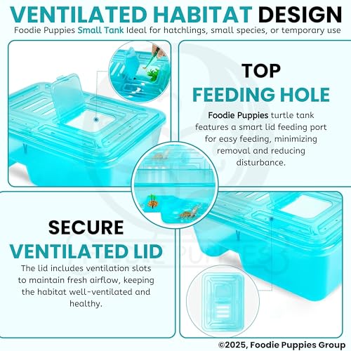 Image of Foodie Puppies Rectangle Turtle Tank Aquarium (Small - 1 FT /13 In Length) with Lid, Ramp | Basking Platform for Turtle Habitat, Reptile Breeding, Safe & Durable with Escape Prevention (No Accessories)