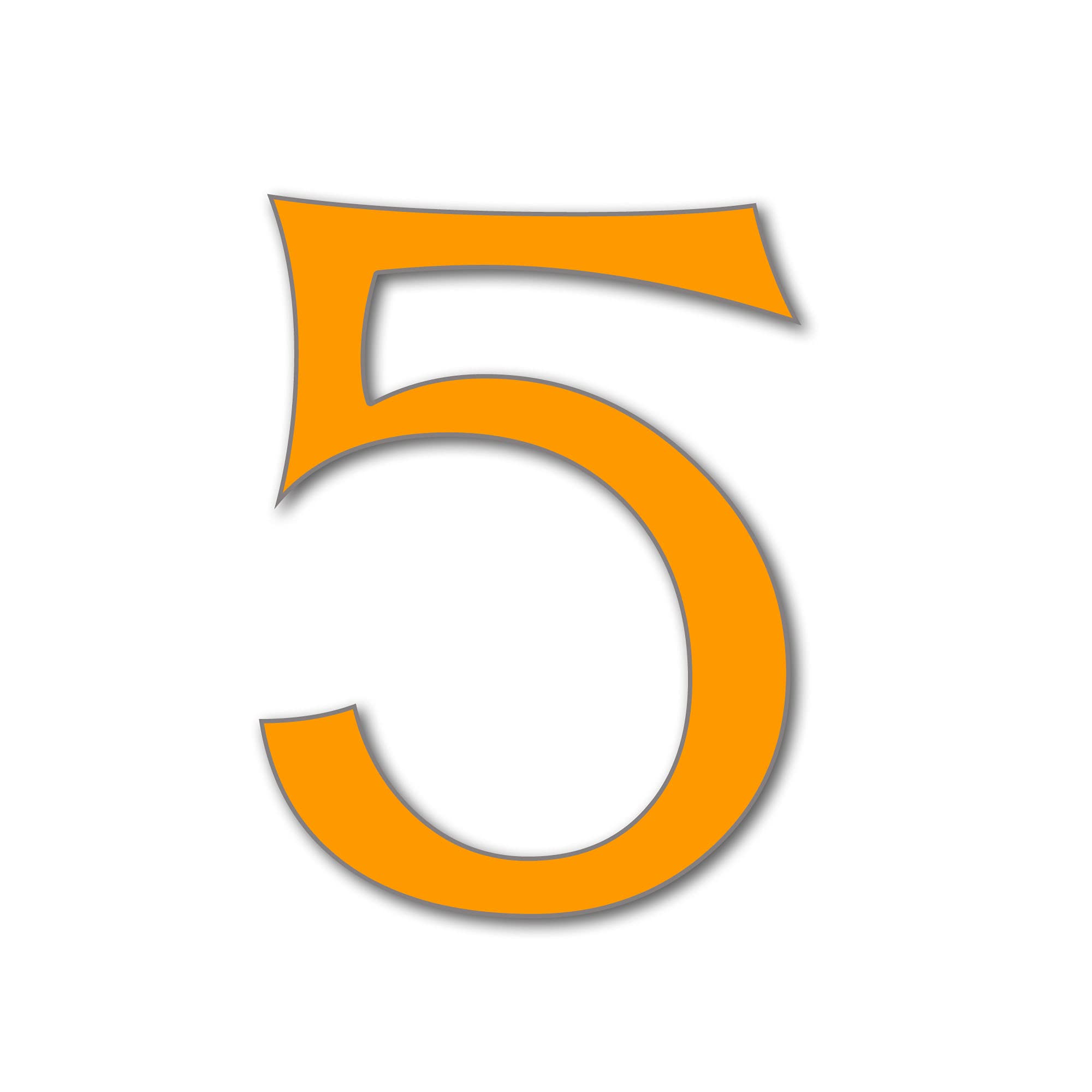 House Number 5 CELTIC Door Numbers in 3 Sizes (15, 20, 25cm / 5.9, 7.8, 9.8in) Modern Floating House Number Acrylic incl. Fixings