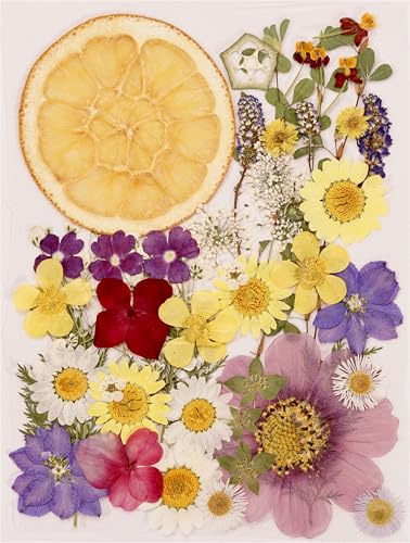 Kit de 48 flores prensadas secas naturales para manualidades miniatura 1