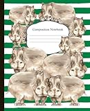 Composition Notebook College Ruled: Watercolor Hippo Lover Notebook 7.5 x 9.25 ,120 pages, For Writing, Journal , Perfect Gift for Kids, Office Supplies, School