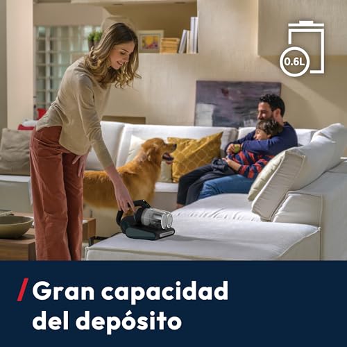 Miniatura 7 de Hoover HMC5 Core Aspiradora de Mano para Colchones | 4 Funciones Auto | Beat&Roll, Aspiración, Luz UV y Secado, Ligera, Antiácaros para Camas, Sofás y Tapizados, 400W
