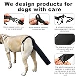 Zoom IMG-2 peutier protezione per la coda Zoom IMG-2 peutier protezione per la coda