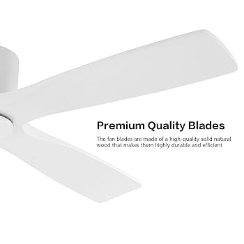 Amazon.com: WINGBO 48 Inch Flush Mount DC Ceiling Fans