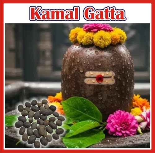 Image of JOrganics Kamal Gatta | Lotus Seed For Puja 100g