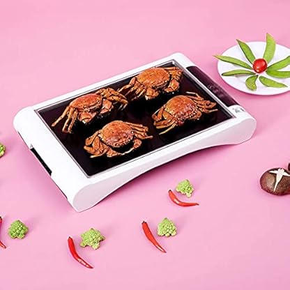 NFY Barbecue Grill Teppanyaki Grills Elektrischer Teppanyaki Tischgrill, mit Einstellbarer Thermostatsteuerung, geeignet… – Bild 7