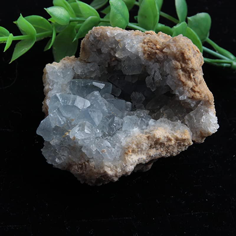 Image of Acxico 1Pcs Celestite Cluster Large 2.5 inch - 3.5 inch Blue Celestite Gemstone Mineral Specimens