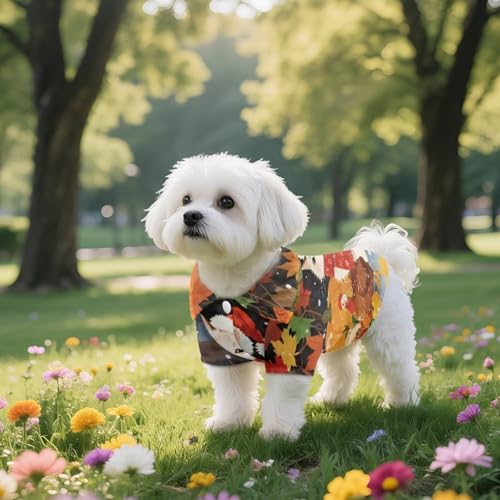 Disfraz hawaiano para perro pequeño Rivatimrio talla S miniatura 3