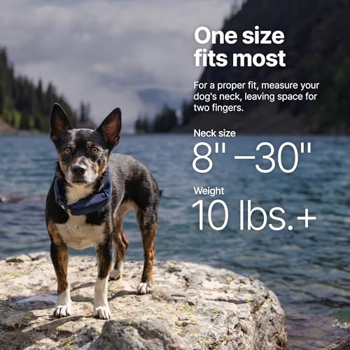 Halo Collar 5 Wireless Dog Fence & GPS Dog Collar, Keep Your Dog Safely Contained Outdoors with App-Controlled Boundaries and Real-Time Tracking, One Size, Graphite - Image 7