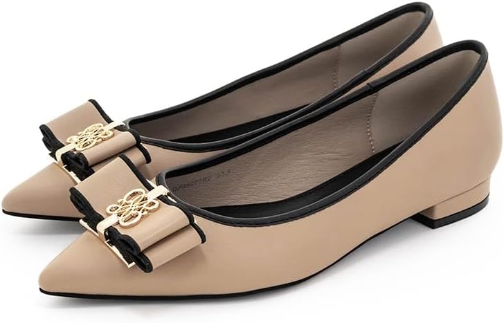 6/30までの限定出品】『図鑑 Visual Art Box』完全数量限定盤 6/30まで