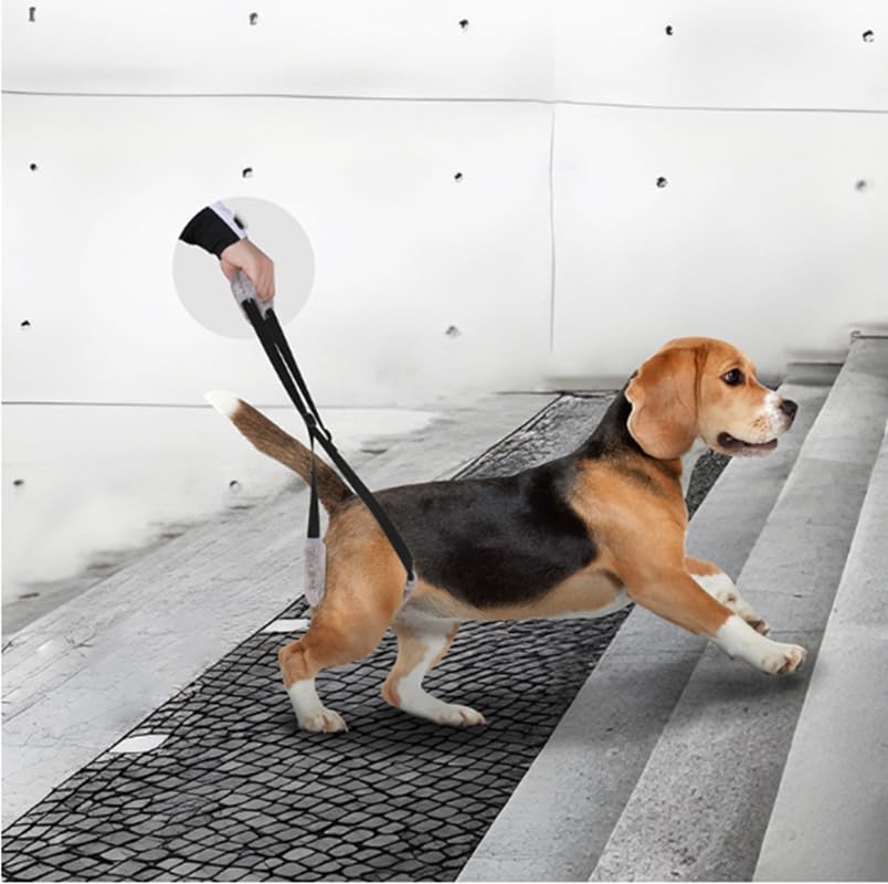 CiCixixi Camminatore per cani posteriori,Imbracatura di sollevamento taglia, Pettorina per le Zampe Posteriori, Deambulazione per Cani malati, Cani anziani, Favorisce la Mobilità del Cane (nero)