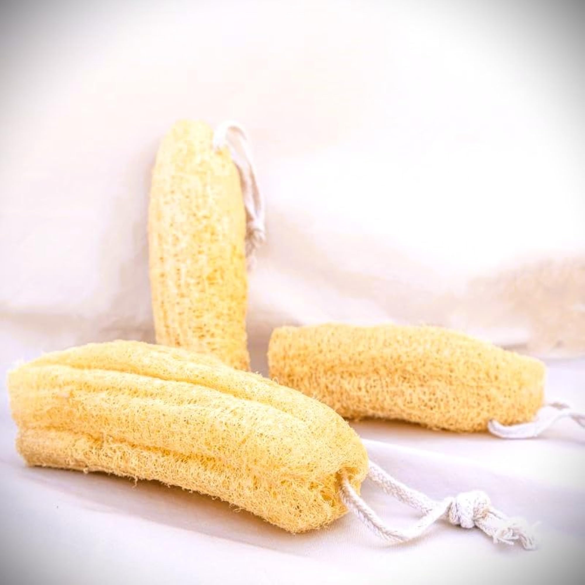 Large Ridge Gourd Fiber Natural Loofah Pack of 3