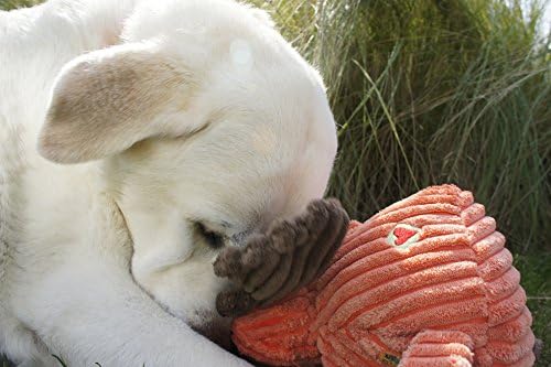 Hugglehounds Plush Corduroy Durable Squeaky Knottie, Dog Toy, great Dog Toys For Aggressive Chewers, Moose, Large