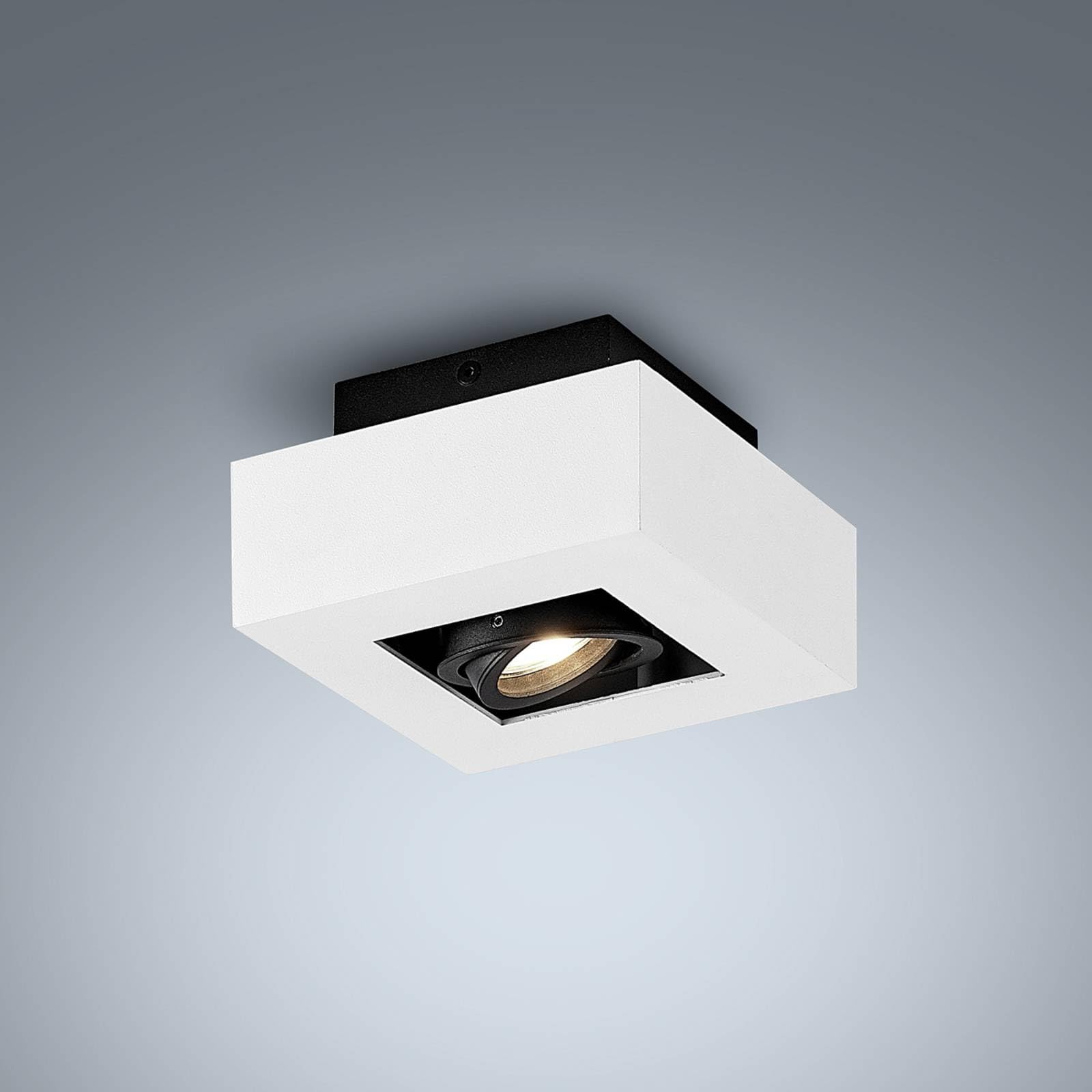 Arcchio Vince Strahler GU10 Deckenlampe Aluminium Weiß 1 flammig