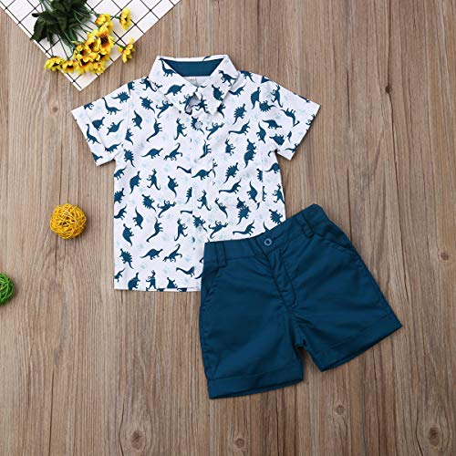 Image of Toddler Boy Summer Outfits Button Down Short Sleeve Floral Shirts & Casual Shorts 1-6 Years Boys Clothes Set
