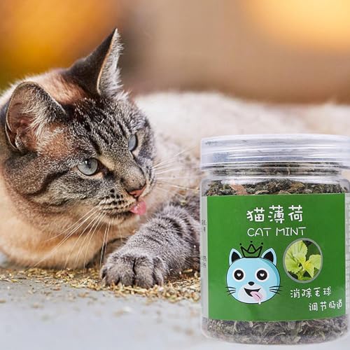 Katzenminze für Katzen, Katzenminzenstäbchen für Kätzchen, Nips für organische Katzen, natürlich, zur Energie und Erregung von Katzen, Training für Katzen mit 20 g und neues Bio-Spielzeug