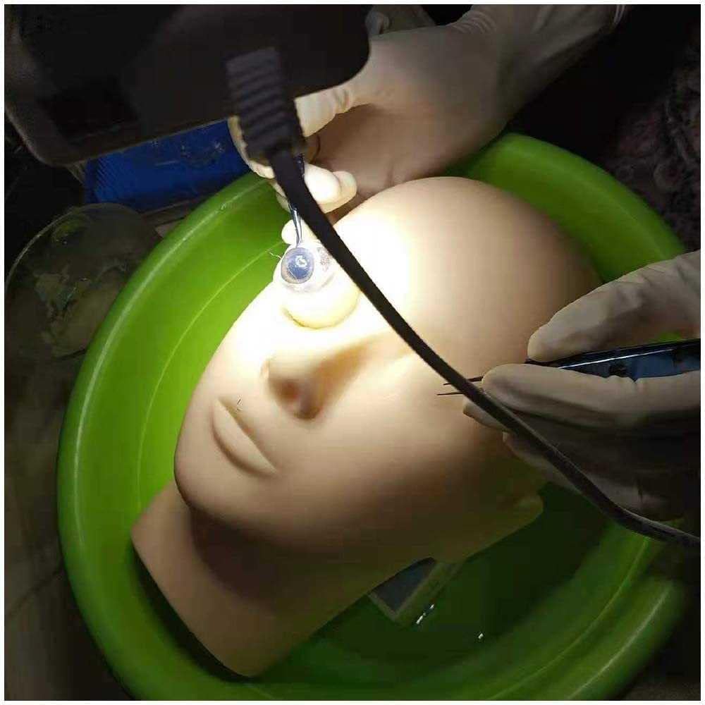 Tieraugen-Trainingsmodell – Silikon-Ophthalmologie-Kopf für medizinische Praxis, Krankenschwester Bildungsbedarf, Gesichtstraining-Mannequin für Studenten