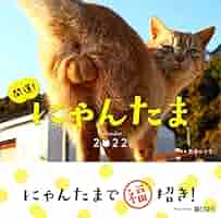 Amazon.co.jp: 2022カレンダー 開運! にゃんたまカレンダー