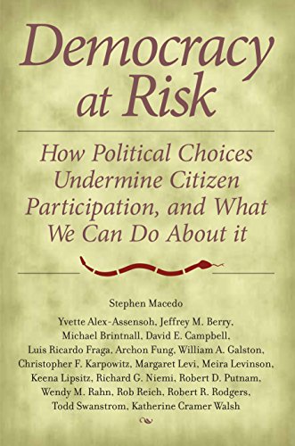 Télécharger Democracy at Risk: How Political Choices Undermine Citizen Participation, and What We Can Do About I Gratuit