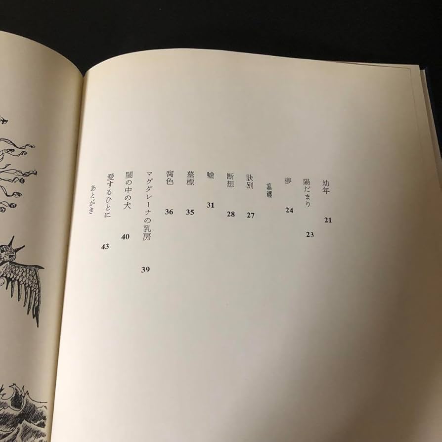 奥山玲子　詩画集　『墓標』 Amazon.co.jp: 奥山玲子 詩画集 『墓標』 : おもちゃ