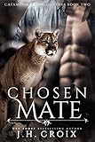 CreateSpace Independent Publishing Platform