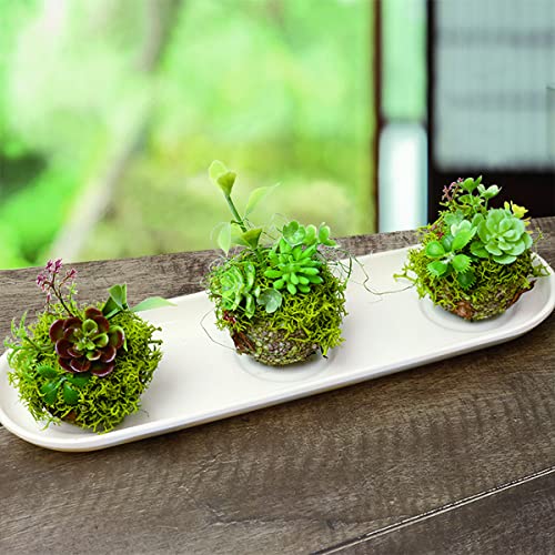苔玉・苔 puyozou テーブルアクア浮かべる癒し苔玉 貳(ニ)│マルカンの製品一覧